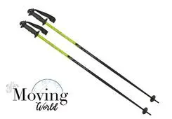 Ski poles